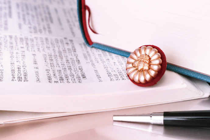 学びの場の適用ケース 次世代ビズⓇ学びの場